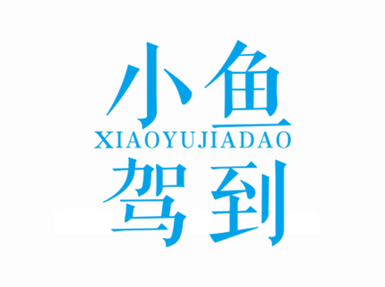 小鱼驾到